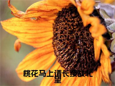 桃花马上请长缨战北望全文免费阅读（宋惜惜战北望免费阅读无弹窗）桃花马上请长缨战北望最新章节列表