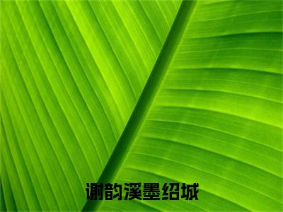 谢韵溪墨绍城（谢韵溪墨绍城）无弹窗小说免费阅读_谢韵溪墨绍城最新章节免费阅读_笔趣阁