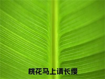 桃花马上请长缨新书热荐免费小说战北望宋惜惜-小说战北望宋惜惜大结局