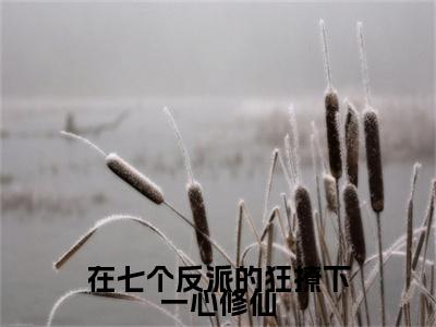 小说《洛轻烟》全文免费阅读无弹窗-在七个反派的狂撩下一心修仙小说全文在线赏析