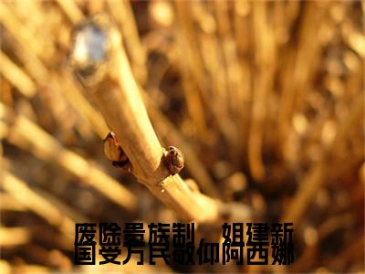 阿西娜罗薇（废除贵族制，姐建新国受万民敬仰阿西娜）全文免费阅读无弹窗大结局_（废除贵族制，姐建新国受万民敬仰阿西娜无弹窗）全文完整版免费阅读