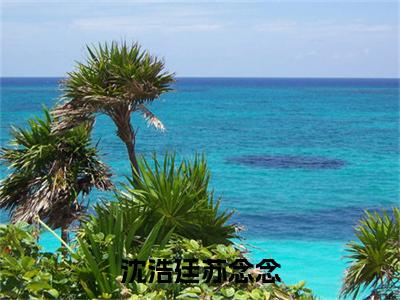 《沈浩廷苏念念》苏念念沈浩廷在哪免费看-沈浩廷苏念念（苏念念沈浩廷）已完结全集大结局