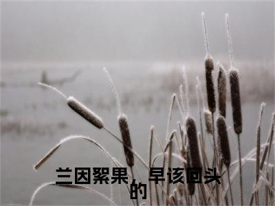 兰因絮果，早该回头的（姜梨笙谢无妄）免费全文阅读小说_（兰因絮果，早该回头的）姜梨笙谢无妄最新章节列表-笔趣阁