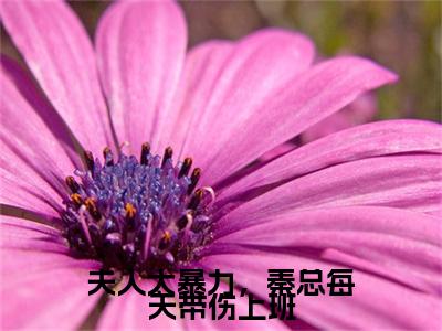 苏词秦晏礼小说（夫人太暴力，秦总每天带伤上班）全文免费阅读无弹窗大结局_苏词秦晏礼小说最新章节列表_笔趣阁