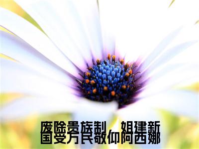 废除贵族制，姐建新国受万民敬仰阿西娜（阿西娜罗薇）热推现言小说-废除贵族制，姐建新国受万民敬仰阿西娜小说在哪里可以看全文