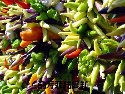 俞芳菲陆宴知（俞芳菲陆宴知）全文免费阅读无弹窗大结局_（俞芳菲陆宴知全文阅读）俞芳菲陆宴知无弹窗最新章节列表