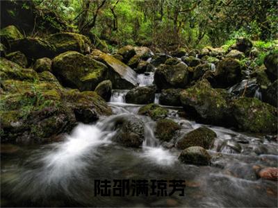 陆邵满琼芳（满琼芳陆邵小说）全文免费阅读无弹窗大结局_（满琼芳陆邵）小说最新章节列表