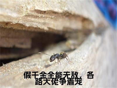 沈京墨苏云晚（假千金全能无敌，各路大佬争着宠）全文免费阅读无弹窗大结局_沈京墨苏云晚最新章节列表