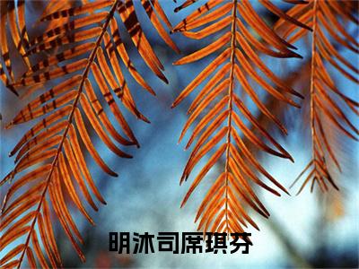 （席琪芬明沐司）小说全文免费阅读_席琪芬明沐司（明沐司席琪芬）最新章节热文在线阅读