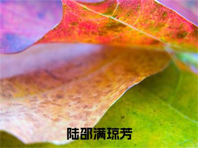 陆邵满琼芳（满琼芳陆邵）全文免费阅读无弹窗大结局_陆邵满琼芳（满琼芳陆邵）小说全文免费阅读最新章节列表