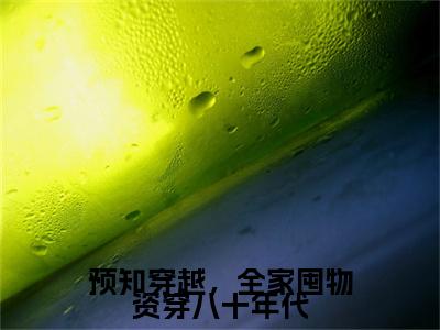 预知穿越，全家囤物资穿八十年代（沈梦瑶）全文免费阅读无弹窗大结局_沈梦瑶最新章节列表