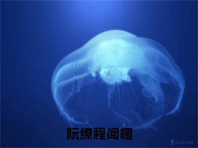 阮缭程闻檀小说免费阅读全文小说程闻檀阮缭全章节阅读