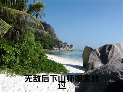 无敌后下山师姐求放过（叶青天）多人追免费无弹窗小说-主角叶青天完整版在线阅读（无敌后下山师姐求放过）