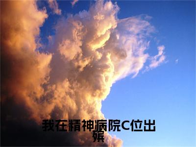 我在精神病院C位出殡小说全文免费阅读无弹窗大结局_我在精神病院C位出殡最新章节列表_笔趣阁