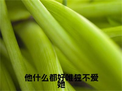 他什么都好唯独不爱她（宁微霍逢安）笔趣阁免费小说_他什么都好唯独不爱她笔趣阁全文阅读