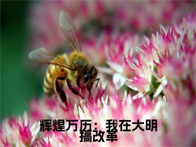 辉煌万历：我在大明搞改革无弹窗（朱善）全文免费阅读无弹窗大结局_朱善最新章节列表（朱善）