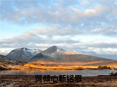 贺倾心靳铭恩（贺倾心靳铭恩）全文免费阅读无弹窗_贺倾心靳铭恩（贺倾心靳铭恩）全文阅读-笔趣阁