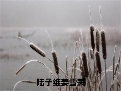 陆子维姜雪芙（姜雪芙陆子维）全文免费阅读无弹窗大结局_陆子维姜雪芙免费阅读最新章节列表_笔趣阁（姜雪芙陆子维）