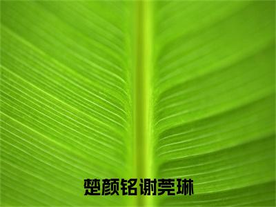 小说楚颜铭谢莞琳全文免费阅读无弹窗大结局_（谢莞琳楚颜铭）全文在线阅读