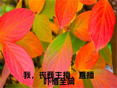 苏浩小说全文免费阅读_（苏浩）我，丧葬主播，直播吓懵全网最新章节列表笔趣阁