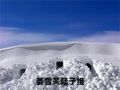 姜雪芙陆子维全文免费阅读（陆子维姜雪芙免费阅读无弹窗）姜雪芙陆子维最新章节列表_笔趣阁