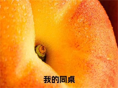 我的同桌（周远李芬芬）全文免费阅读无弹窗大结局_我的同桌最新章节列表_笔趣阁（周远李芬芬）