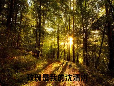 玫瑰是我的沈清灼（洛漪沈清灼）全文免费阅读无弹窗大结局_（洛漪沈清灼）小说免费阅读最新章节列表