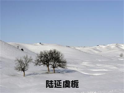 （陆延虞栀）全文免费阅读无弹窗（陆延虞栀）虞栀陆延已完结全集大结局