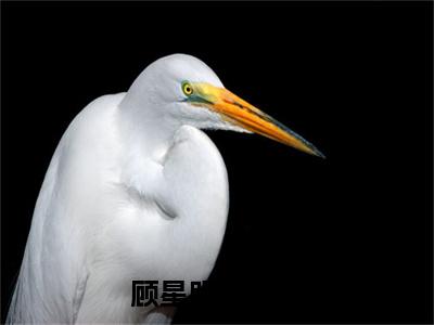 顾星眠姜司桁结局_（顾星眠姜司桁）顾星眠姜司桁最新章节列表_笔趣阁