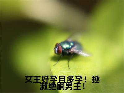 女主好孕且多孕！拯救绝嗣男主！（顾无双）小说免费阅读在线阅读_女主好孕且多孕！拯救绝嗣男主！全文免费阅读_笔趣阁