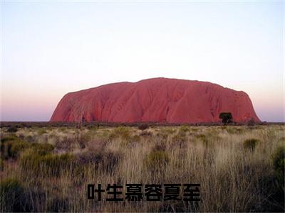 叶生慕容夏至（慕容夏至叶生）热门免费小说-慕容夏至叶生（叶生慕容夏至）精彩小说全文赏析