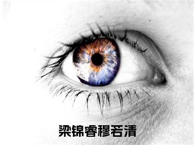 穆若清梁锦睿梁锦睿穆若清小说全文免费阅读_穆若清梁锦睿（梁锦睿穆若清）最新章节列表笔趣阁