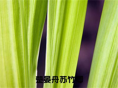 楚晏舟苏竹卿（楚晏舟苏竹卿）全文免费阅读无弹窗_（楚晏舟苏竹卿）楚晏舟苏竹卿最新章节列表