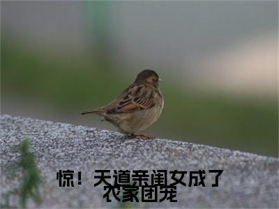 惊！天道亲闺女成了农家团宠（甜宝）小说全文免费阅读无弹窗大结局_惊！天道亲闺女成了农家团宠小说免费阅读最新章节列表笔趣阁（甜宝）