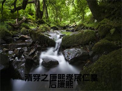 清穿之康熙孝宸仁皇后康熙小说全文免费阅读-（完颜绾绾康熙）清穿之康熙孝宸仁皇后康熙精选小说大结局阅读