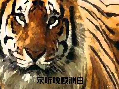 （宋听晚顾洲白）全文免费阅读无弹窗大结局_（顾洲白宋听晚阅读无弹窗）宋听晚顾洲白最新章节列表