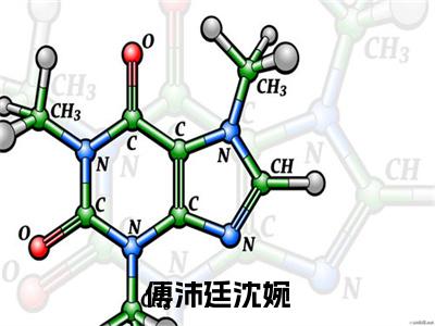 傅沛廷沈婉（沈婉傅沛廷小说）全文免费阅读无弹窗大结局_傅沛廷沈婉最新章节