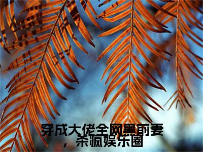 后续+全集赵清欢陆淮年（完整版）热文小说阅读-赵清欢陆淮年全文抖音热推