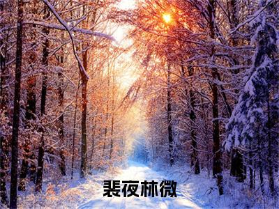 裴夜林微（林微裴夜）全文免费阅读无弹窗_林微裴夜小说_笔趣阁