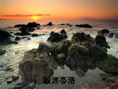 殷沐岑浩（殷沐岑浩）全文免费阅读无弹窗大结局_（殷沐岑浩免费阅读全文大结局）最新章节列表