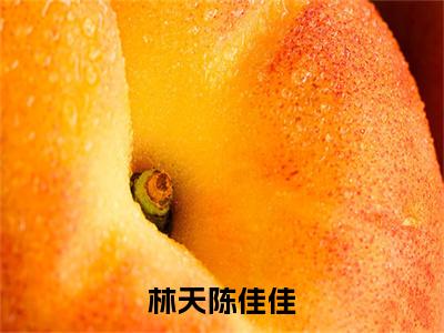 林天陈佳佳小说（陈佳佳林天）全文免费阅读无弹窗大结局_（陈佳佳林天）林天陈佳佳小说无弹窗精彩阅读_笔趣阁