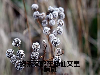 绿茶女配在修仙文里躺赢最新章节（陆桑酒）全文免费阅读无弹窗大结局_陆桑酒绿茶女配在修仙文里躺赢全文免费阅读