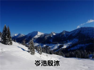 岑浩殷沐（殷沐岑浩）小说免费阅读在线阅读_岑浩殷沐全文免费阅读_笔趣阁