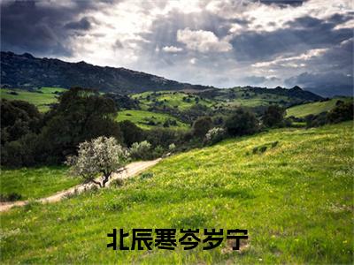 岑岁宁北辰寒（北辰寒岑岁宁）小说全文免费阅读-岑岁宁北辰寒免费阅读完整版