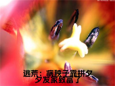 李长溪（逃荒：病秧子靠拼夕夕发家致富了）免费小说-（逃荒：病秧子靠拼夕夕发家致富了）完结版在线阅读