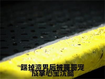 踹掉渣男后被哥哥宠成掌心宝沈懿全文小说（沈念念沈懿）全文阅读-踹掉渣男后被哥哥宠成掌心宝沈懿在线小说免费阅读