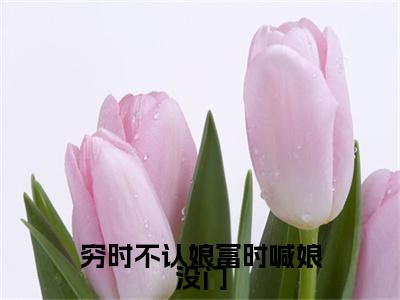 穷时不认娘富时喊娘没门（赵念儿）小说全文-穷时不认娘富时喊娘没门小说免费阅读大结局