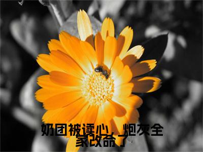 沈知念最新章节（奶团被读心，炮灰全家改命了）全文免费阅读无弹窗大结局_奶团被读心，炮灰全家改命了小说全文免费阅读正版无弹窗