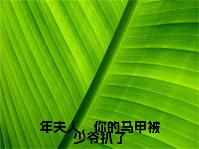 年夫人，你的马甲被少爷扒了（年景骁叶枳夏）全文免费大结局，年夫人，你的马甲被少爷扒了结局在线阅读