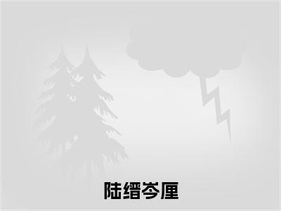 陆缙岑厘岑厘陆缙完整版最新小说大结局，陆缙岑厘免费完结版